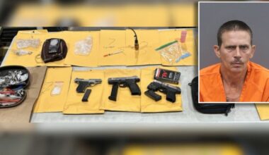Riverview man arrested after search warrant leads to seizure of guns and drugs: HCSO