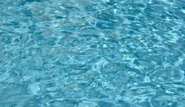 Fun things to do in South Florida
