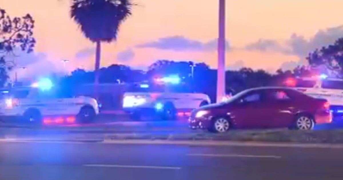 Pedestrian dead in hit-and-run crash on John Young Parkway; troopers seek 'vehicle of interest'