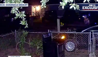 Florida woman mauled to death by escaped dogs: 'I do not feel safe,' neighbors say