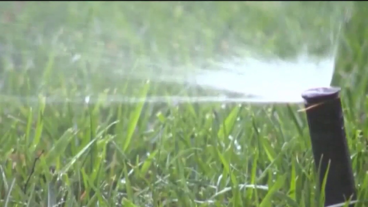 Tampa cracks down on water violators