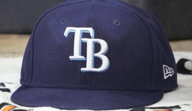 Tampa Bay Rays Bring Back Pitcher for Series Finale Against Tigers
