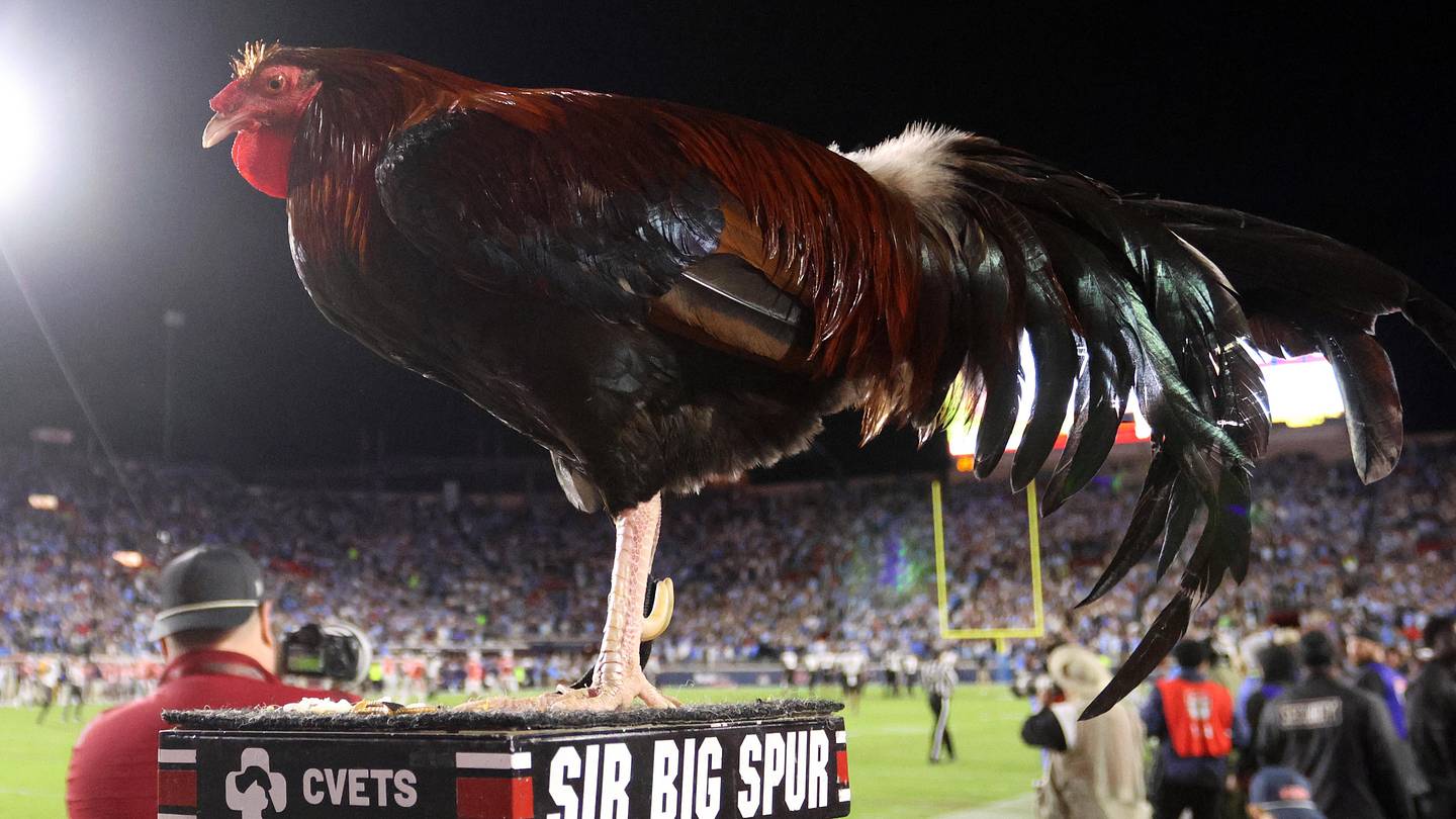 South Carolina Recruit Flips Commitment to Florida State; Where Do the Gamecocks Go From Here?