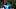 travis hunte