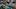 brenton strange brenton strange