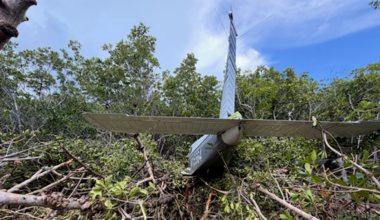 2 on board plane that crashed into mangroves in Key West, FAA says – NBC 6 South Florida