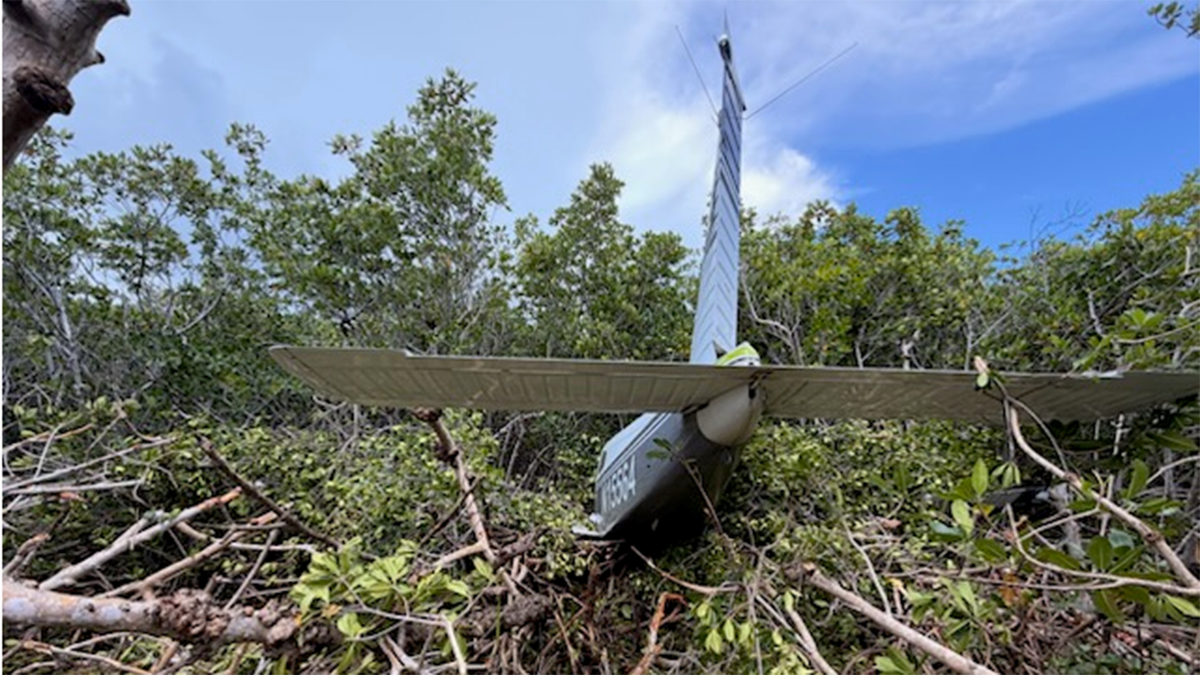 2 on board plane that crashed into mangroves in Key West, FAA says – NBC 6 South Florida