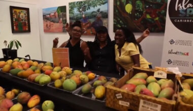 Annual Island SPACE Mango Festival returns to Pembroke Pines with mango-centric workshops to celebrate Father’s Day - WSVN 7News | Miami News, Weather, Sports