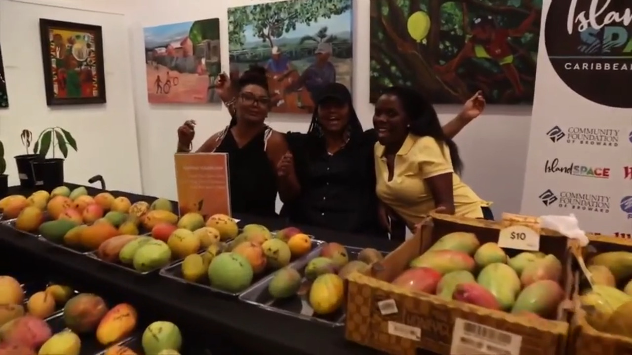 Annual Island SPACE Mango Festival returns to Pembroke Pines with mango-centric workshops to celebrate Father’s Day - WSVN 7News | Miami News, Weather, Sports