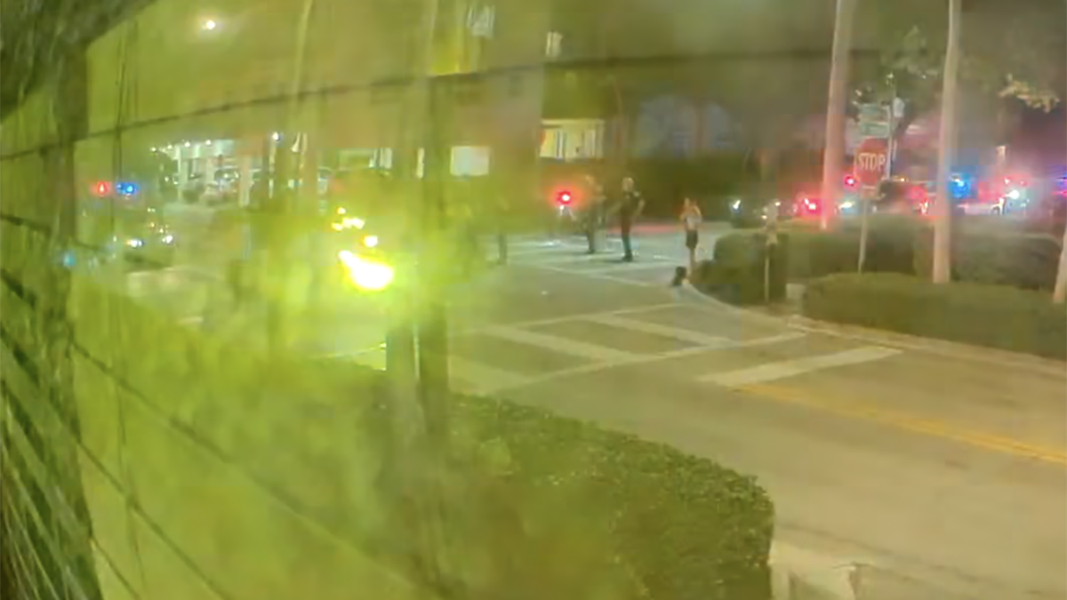 Video shows ATV crash that left Miami Beach officer critically injured – NBC 6 South Florida