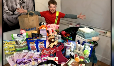 12-year-old’s passion for animals and helping led to hundreds of donations to Humane Society of Broward County - WSVN 7News | Miami News, Weather, Sports