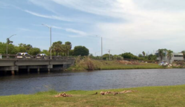 Investigation underway after a man was found dead under a Miami-Dade bridge - WSVN 7News | Miami News, Weather, Sports