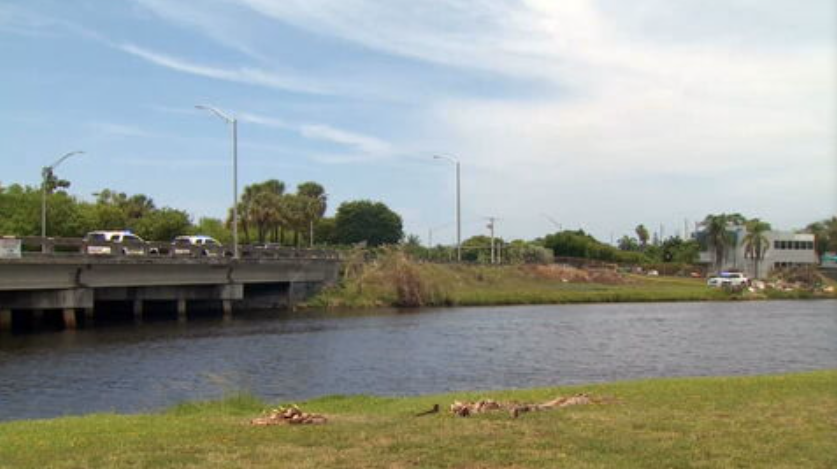 Investigation underway after a man was found dead under a Miami-Dade bridge - WSVN 7News | Miami News, Weather, Sports