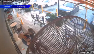 Surveillance video captures elderly man beaten down in a Southwest Miami-Dade bakery; one man in custody - WSVN 7News | Miami News, Weather, Sports