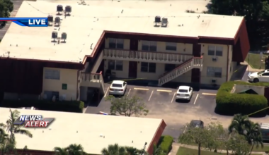 1 dead, at least 1 injured after stabbing in Lauderhill, officials say; subject on the loose - WSVN 7News | Miami News, Weather, Sports