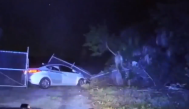 Man arrested after leading FHP on high-speed pursuit across Tampa Bay area - WSVN 7News | Miami News, Weather, Sports