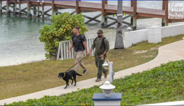 BSO K-9 team joins search for missing woman in Bahamas; Fox News reports husband may have left US - WSVN 7News | Miami News, Weather, Sports