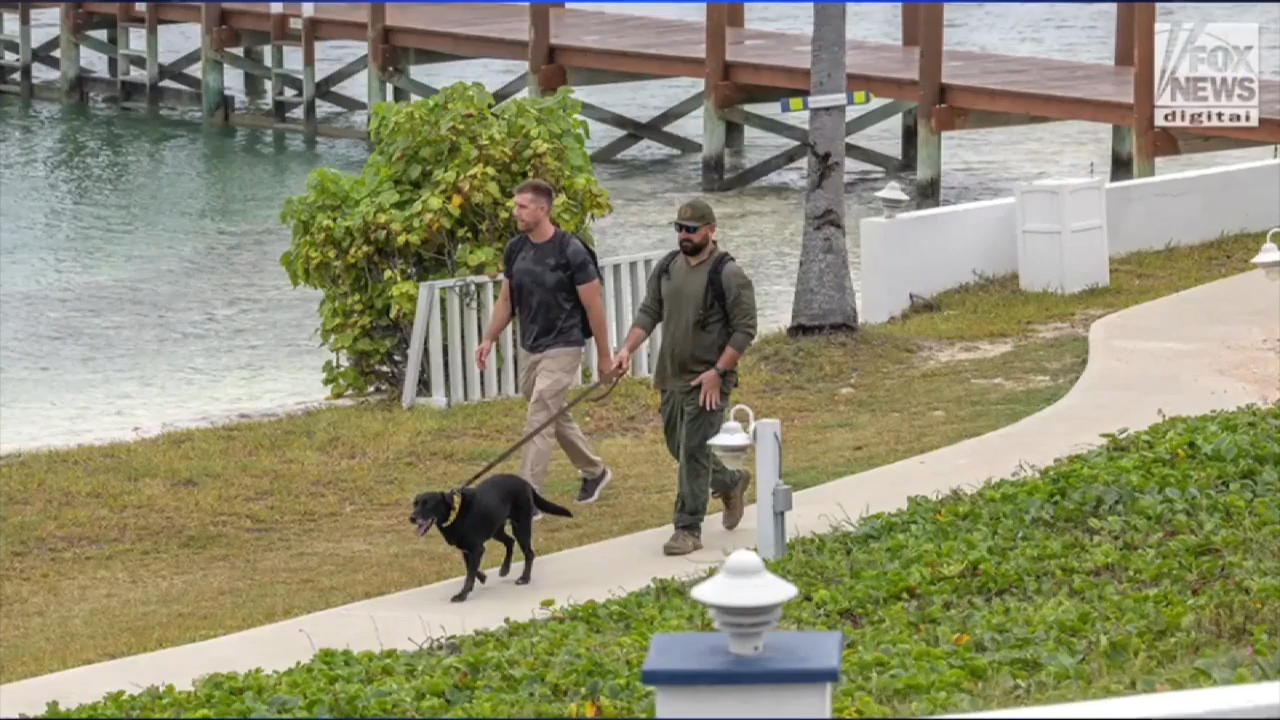 BSO K-9 team joins search for missing woman in Bahamas; Fox News reports husband may have left US - WSVN 7News | Miami News, Weather, Sports