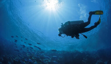 Florida Keys divers find 22-pound Atocha silver bar not seen in 30 years