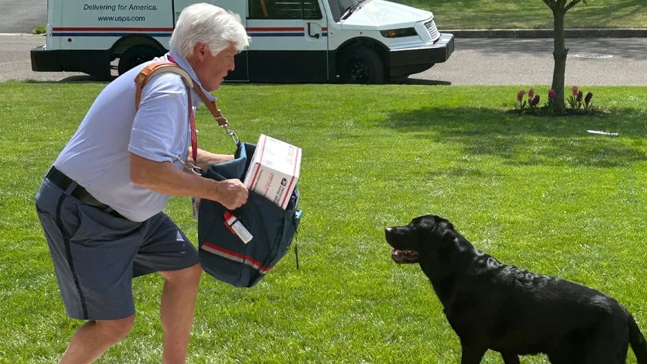 Mail carrier using his satchel as a defense mechanism to prevent a dog bite incident