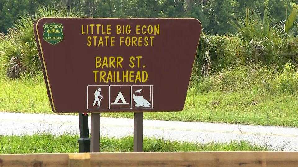 Alligator attacks person near Florida river, Seminole County fire says