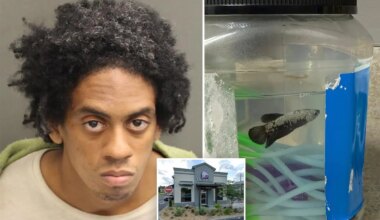 Cops bust creep carrying pet fish and exposing his 'chimichanga' outside Florida Taco Bell