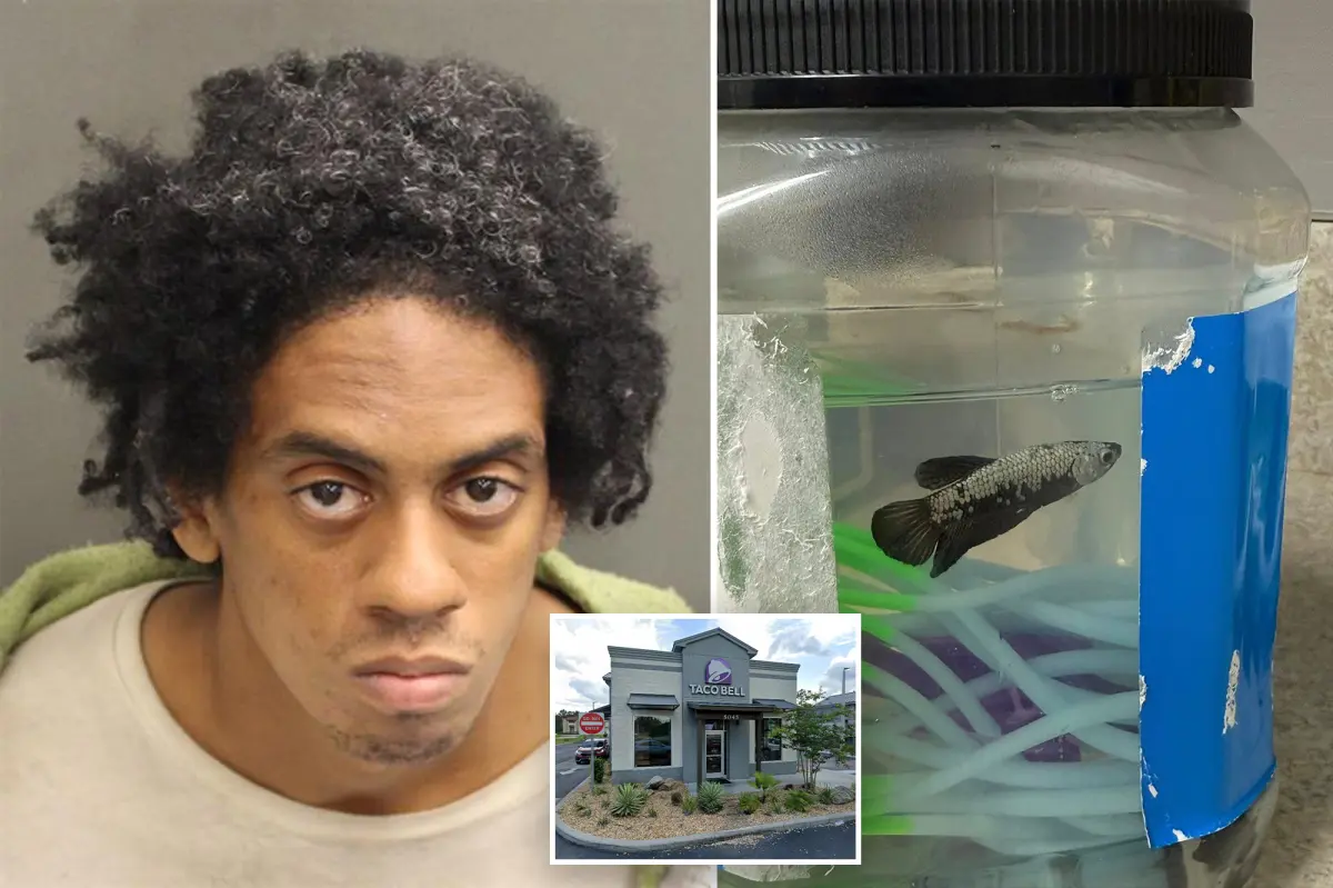 Cops bust creep carrying pet fish and exposing his 'chimichanga' outside Florida Taco Bell