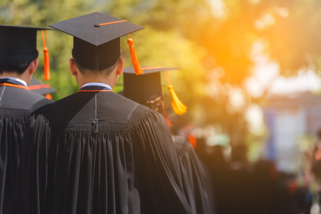 Graduates in caps and gowns, viewed from behind, walking towards a bright, sunlit background.