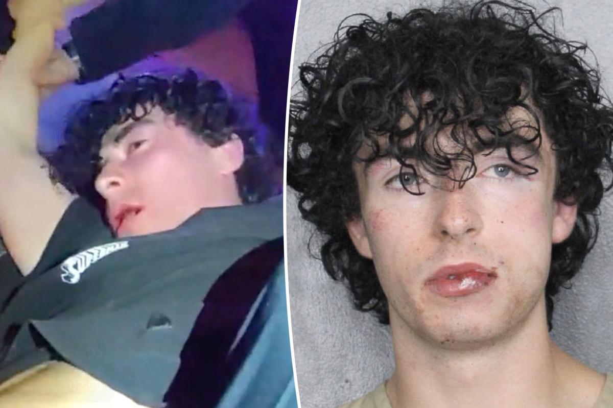 FSU kicker Conor Mcaneney's spring break fight with cops captured on police video
