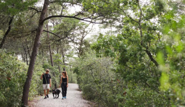 Stuart woman eyes zero Florida Forever funds, becomes hero