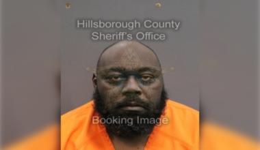 ‘Elf’ and ‘Couples Retreat’ actor arrested in Florida