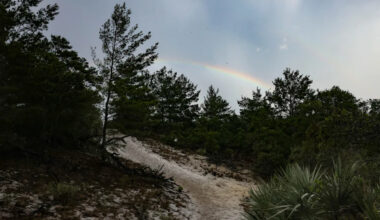 Heiress is buying land to stop Florida development
