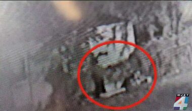 Owner of Northwest Jacksonville business says repeated burglaries has put its future at risk