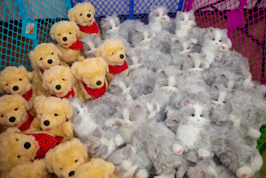 A close up of yellow puppies and ray and white tabby cats in a brightly colored plastic playpen.