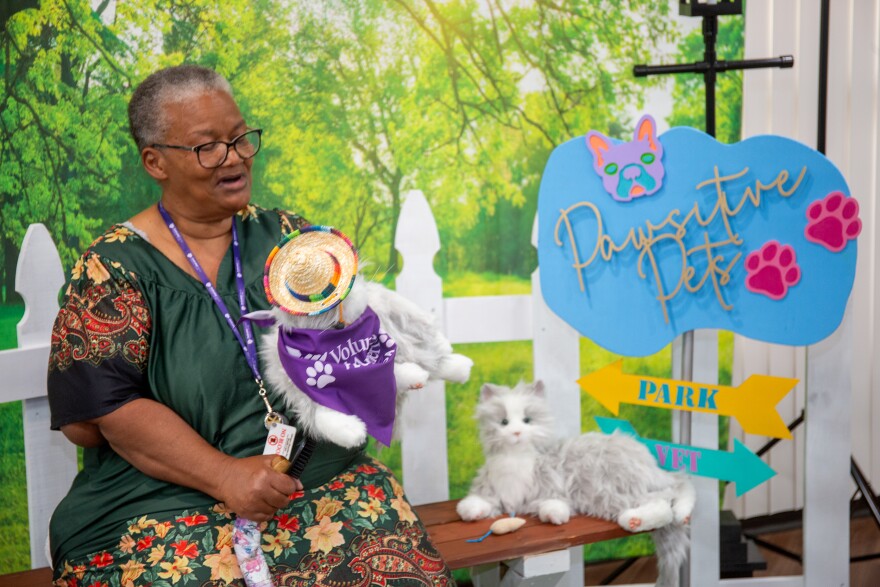 A woman wearing a green dress with red and yellow floral trimming sits on a bench with her gray and white tabby. It's wearing a purple bandana and a sombrero. The photo backdrop is a green park with white picket fencing.