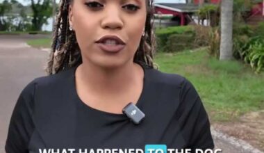 Jacksonville girl recovering after being mauled by pit bull