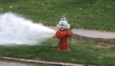 South Jacksonville crews began flushing hydrants on Tuesday to help ensure hydrants are functional and to help maintain water quality in the village.