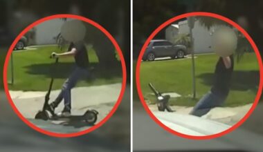 Teen on e-scooter crashes into Florida deputy’s patrol car, video shows