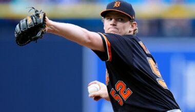 Troy Melton and Dillon Dingler help the Tigers complete a sweep of the Rays after 7-2 victory