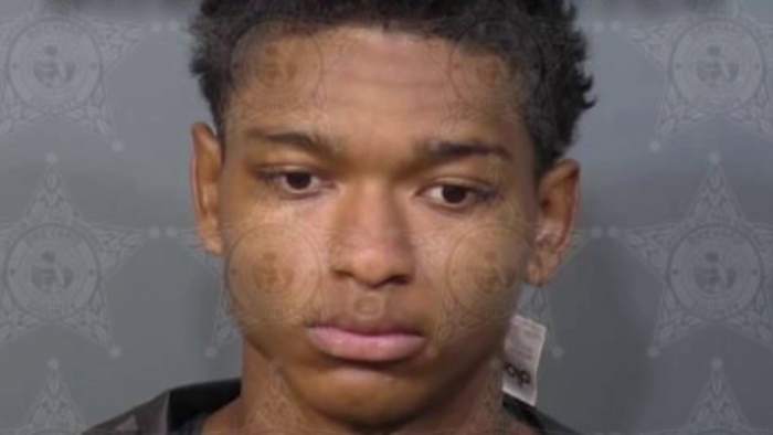 Florida man arrested after grabbing DoorDash driver while 'completely naked,' police say