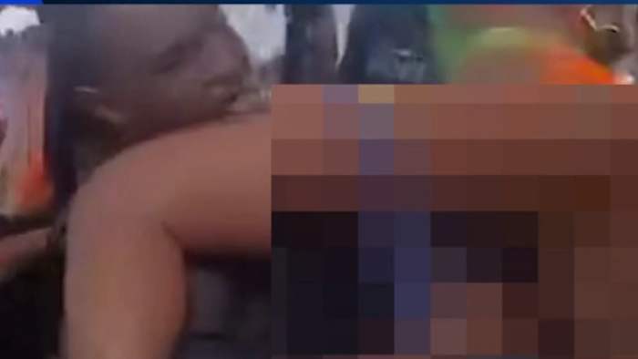 ‘Best we’ve experienced in years:’ Head of Carnival Festival defends officers’ actions after viral videos