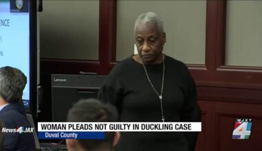 Jacksonville woman pleads not guilty in killing of 11 ducklings; felony charges officially filed