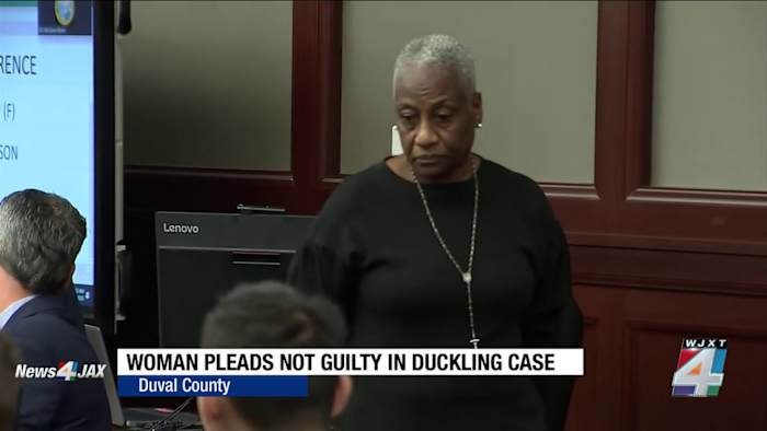 Jacksonville woman pleads not guilty in killing of 11 ducklings; felony charges officially filed