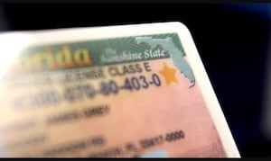 New Florida law requires driver’s licenses to display citizenship status
