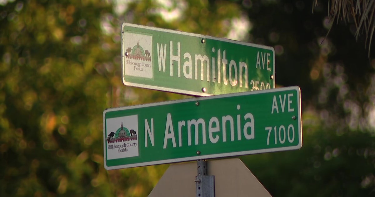 Deadly hit-and-run in Tampa, police searching for driver