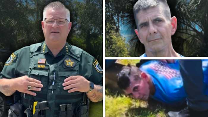 Central Florida man fatally shoots cat in eye with BB gun, sheriff says