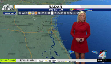 Clear start, sunny skies, mild temperatures with rain expected this weekend