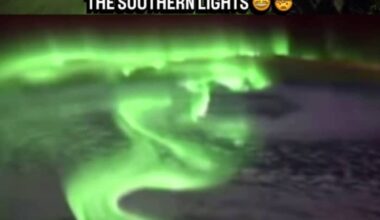 Check out this stunning view of the southern lights