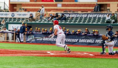 Baseball Celebration