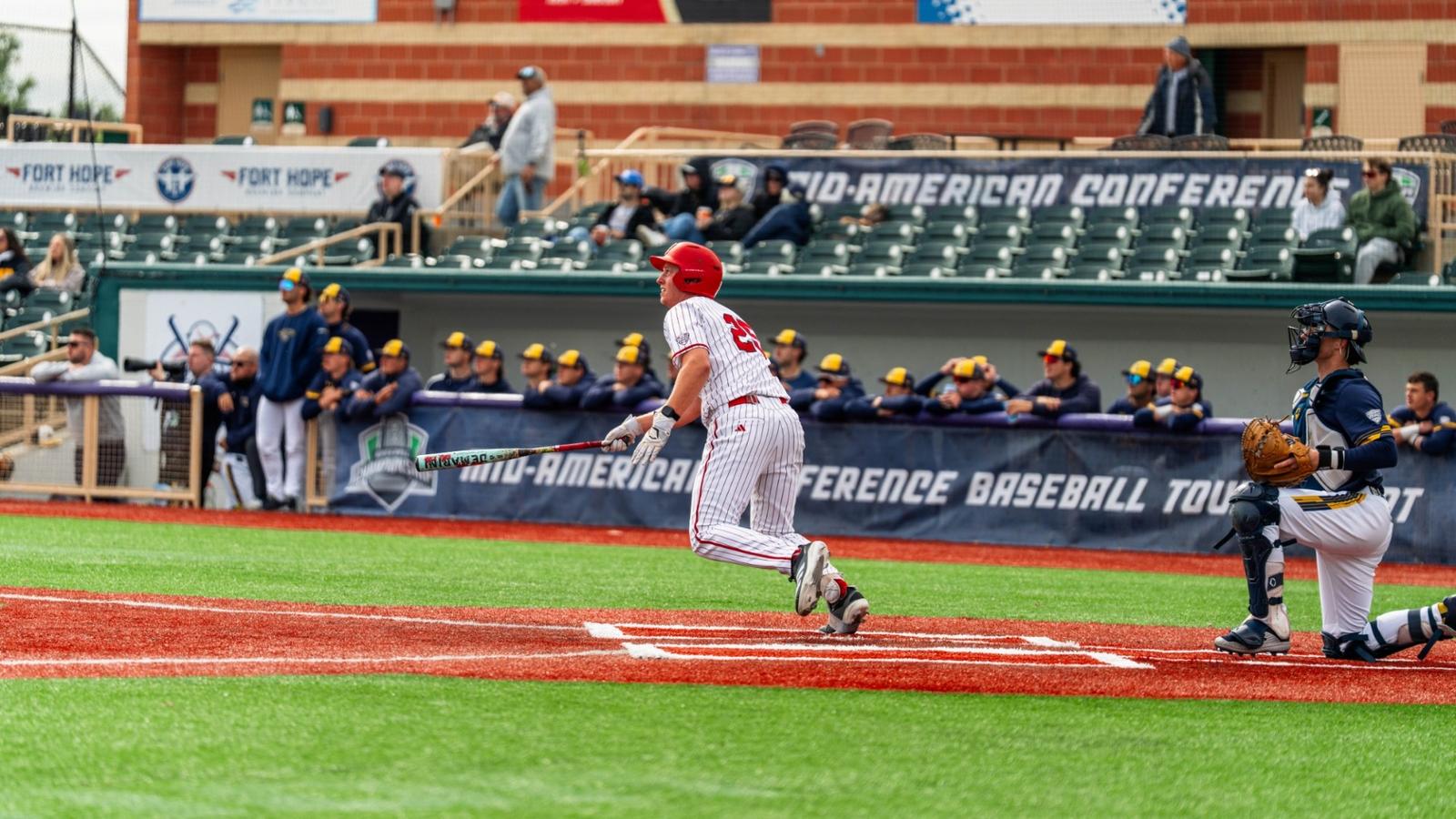 Baseball Celebration